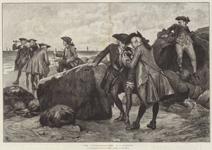 The Conchologists